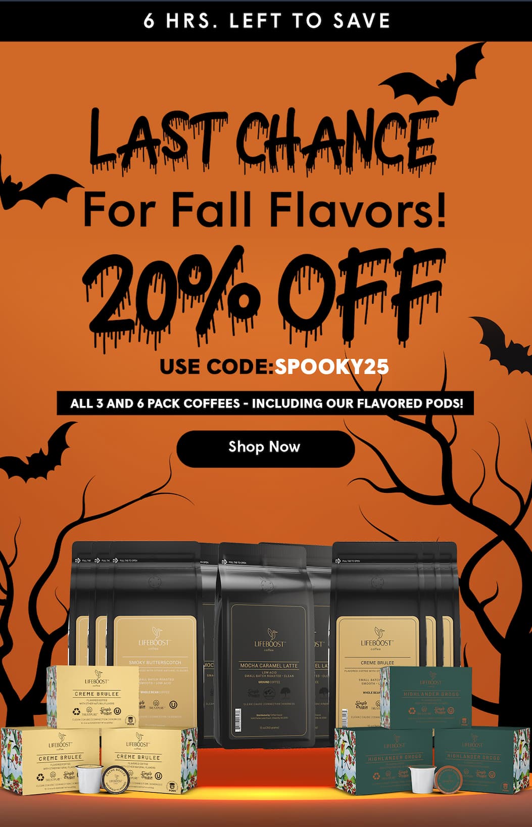20% OFF Use Code: SPOOKY25