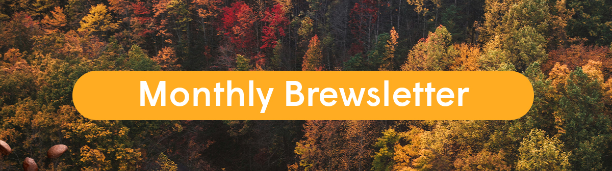 Monthly Brewsletter 