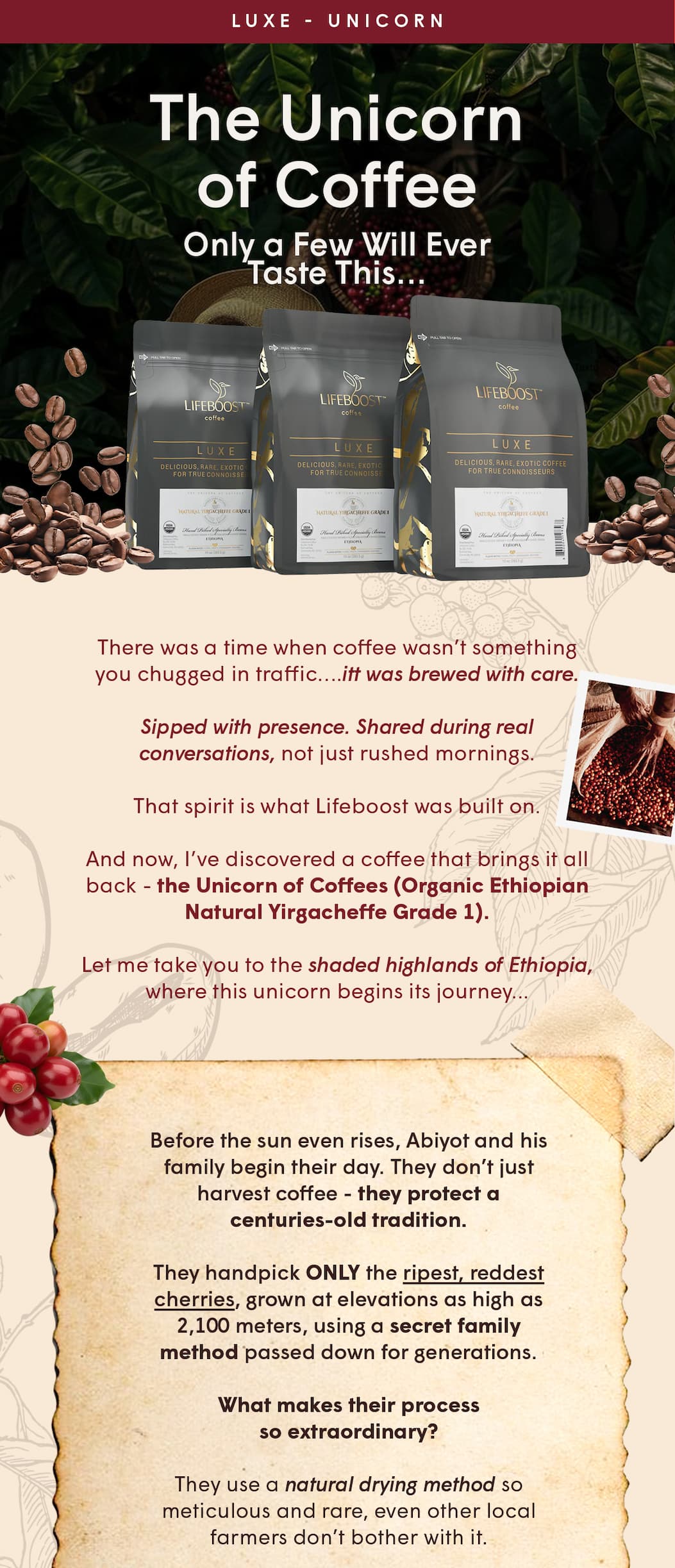 There was a time when coffee wasn’t something you chugged in traffic….itt was brewed with care. 