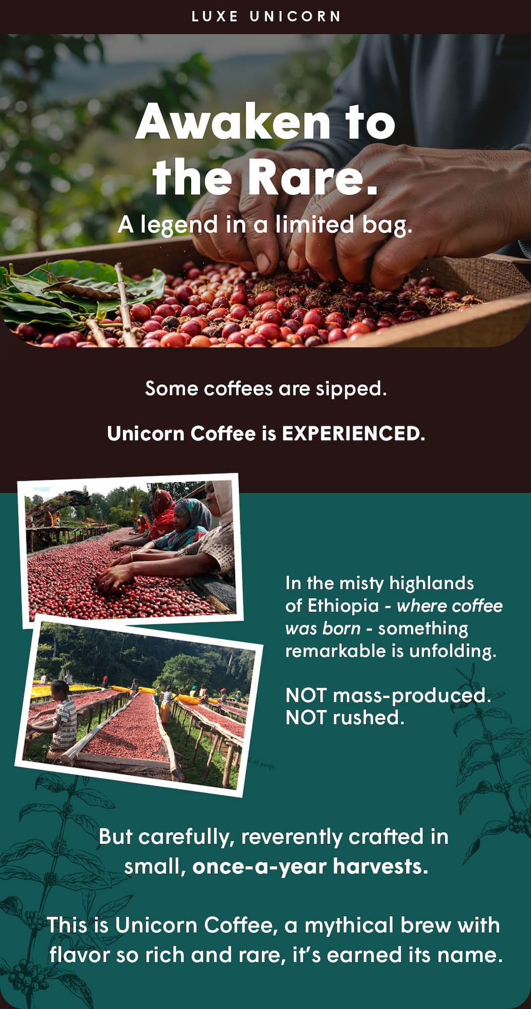 Unicorn Coffee is EXPERIENCED.