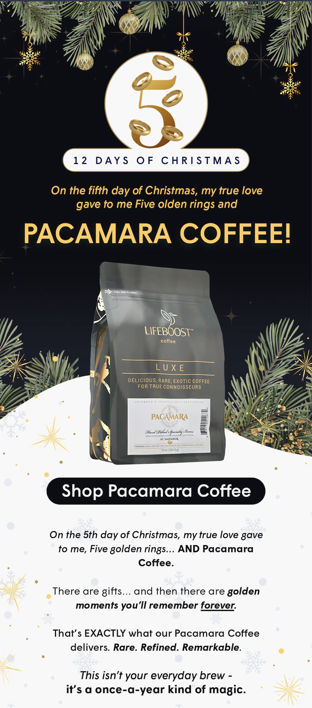 On the 5th day of Christmas, my true love gave to me, Five golden rings… AND Pacamara Coffee.
