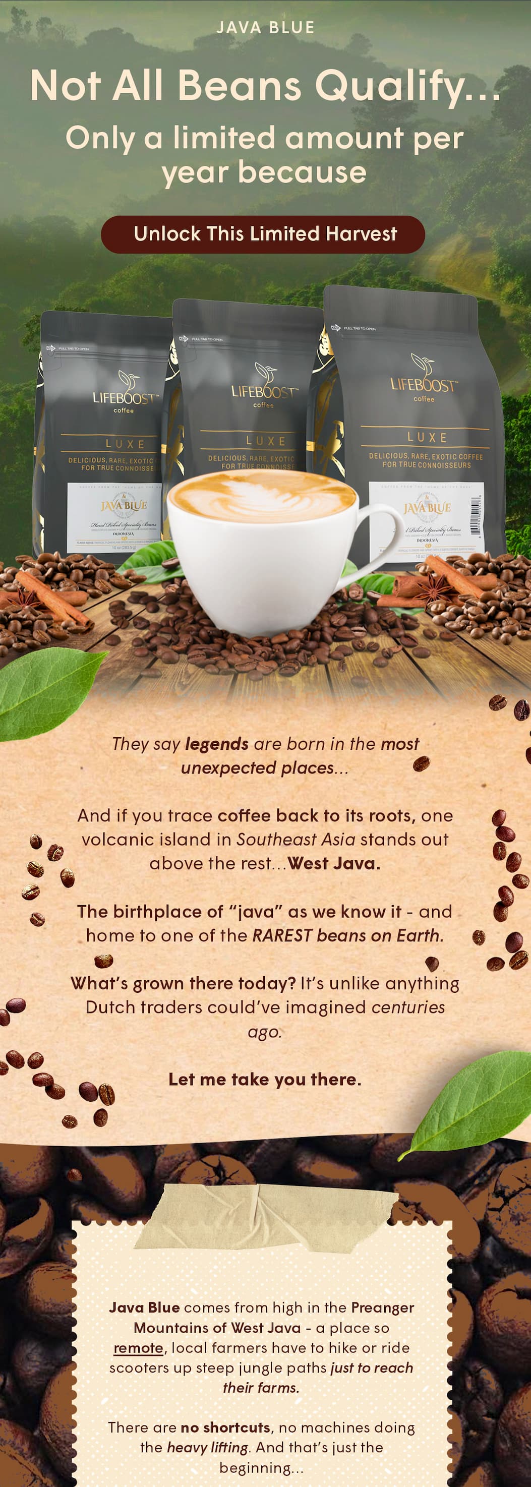 The birthplace of “java” as we know it - and home to one of the RAREST beans on Earth.