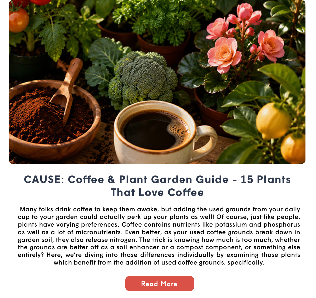 CAUSE: Coffee & Plant Garden Guide - 15 Plants That Love Coffee