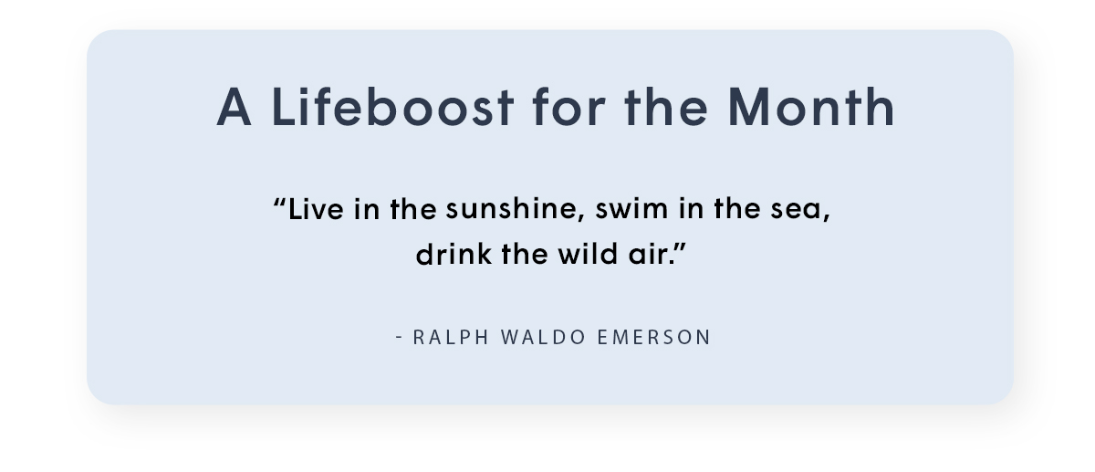 A Lifeboost For The Month 