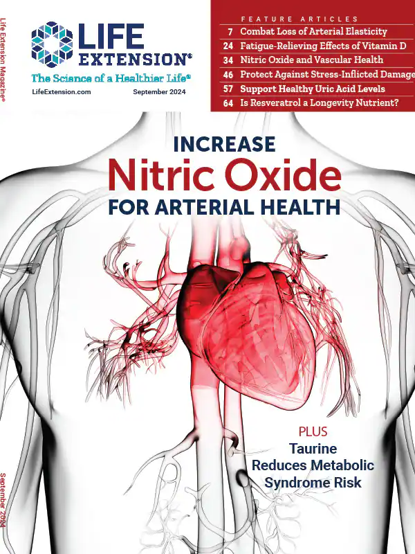 Read Our Magazine