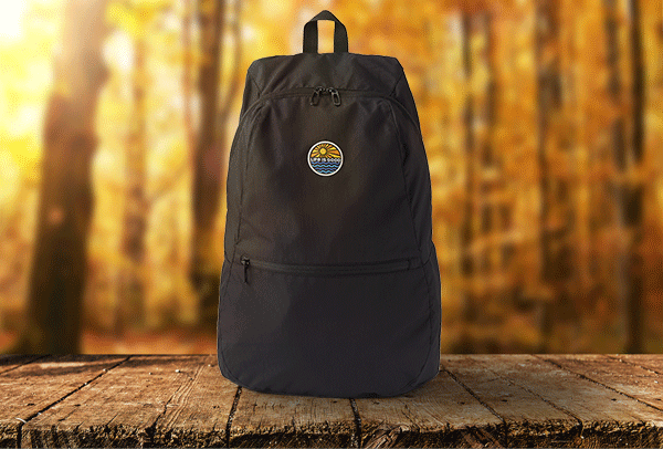 Free packable travel bag with $80 purchase. No code needed.
