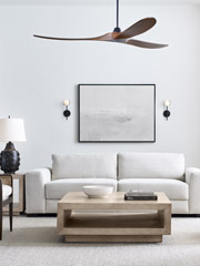 Visual Comfort Fan