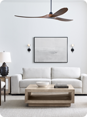Visual Comfort Fan