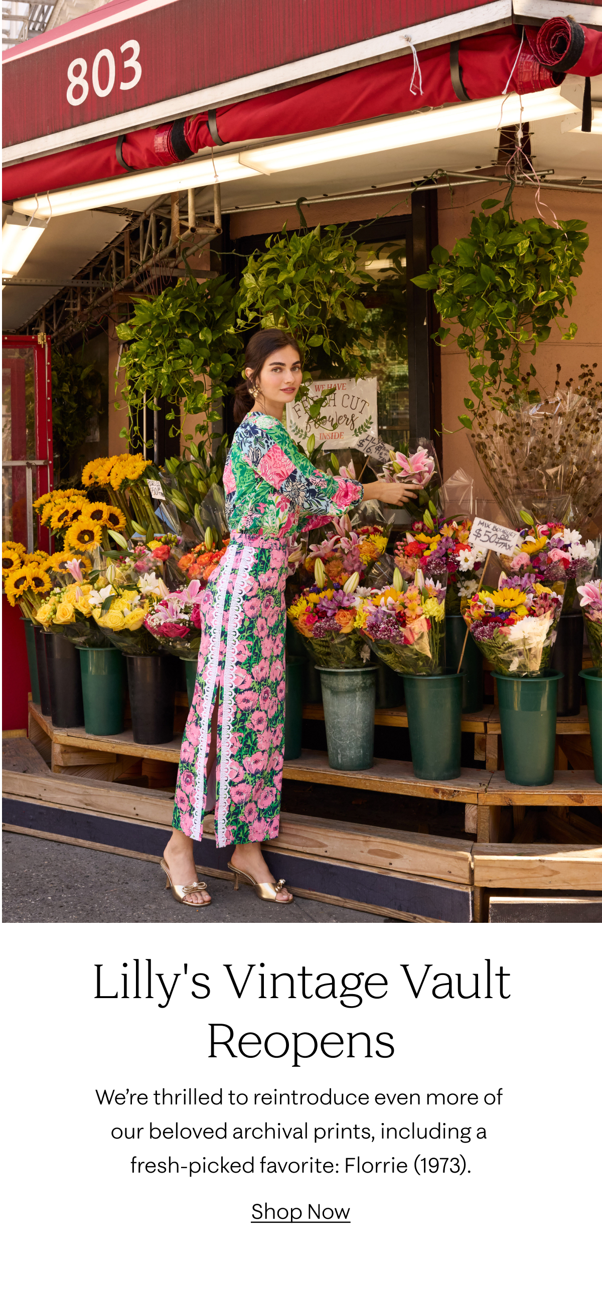 Lilly's Vintage Vault