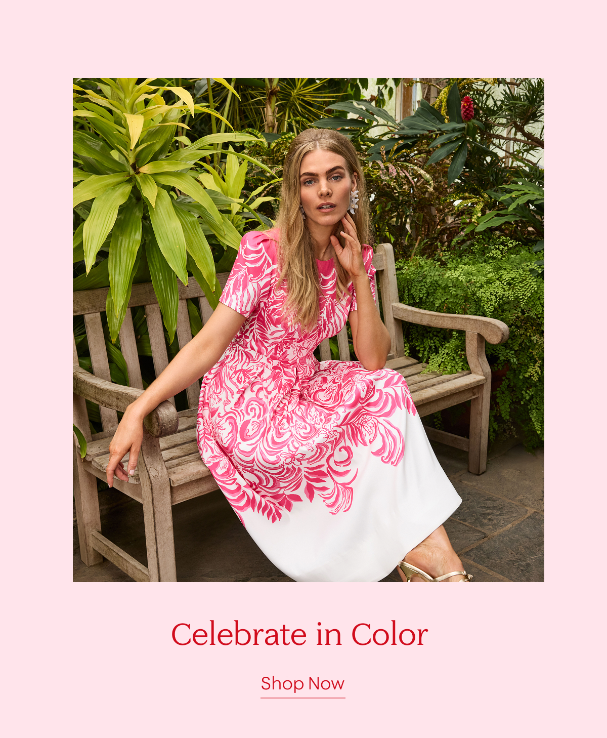 Celebrate in Color