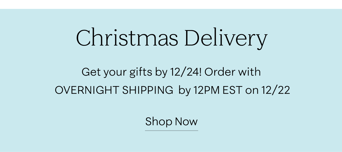 Christmas Delivery