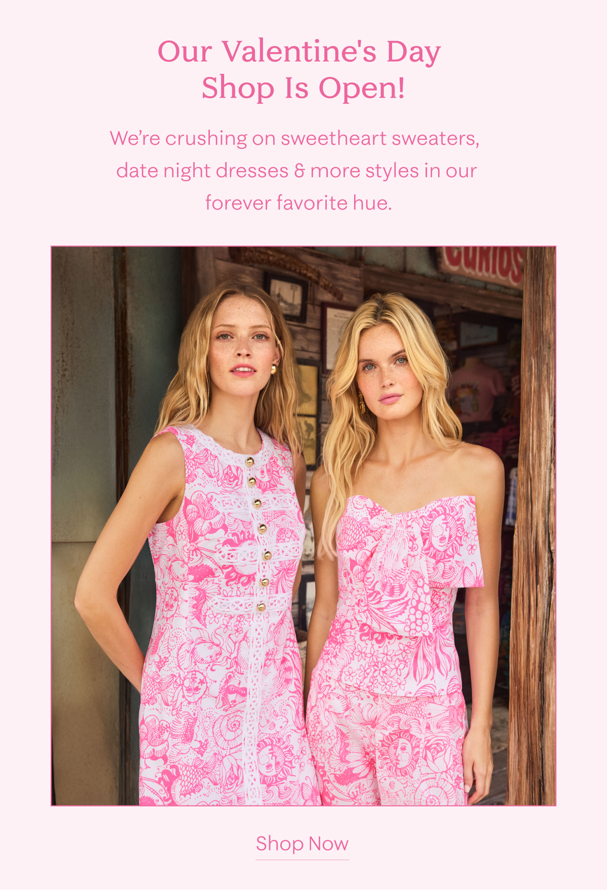 Valentine's Day Shop