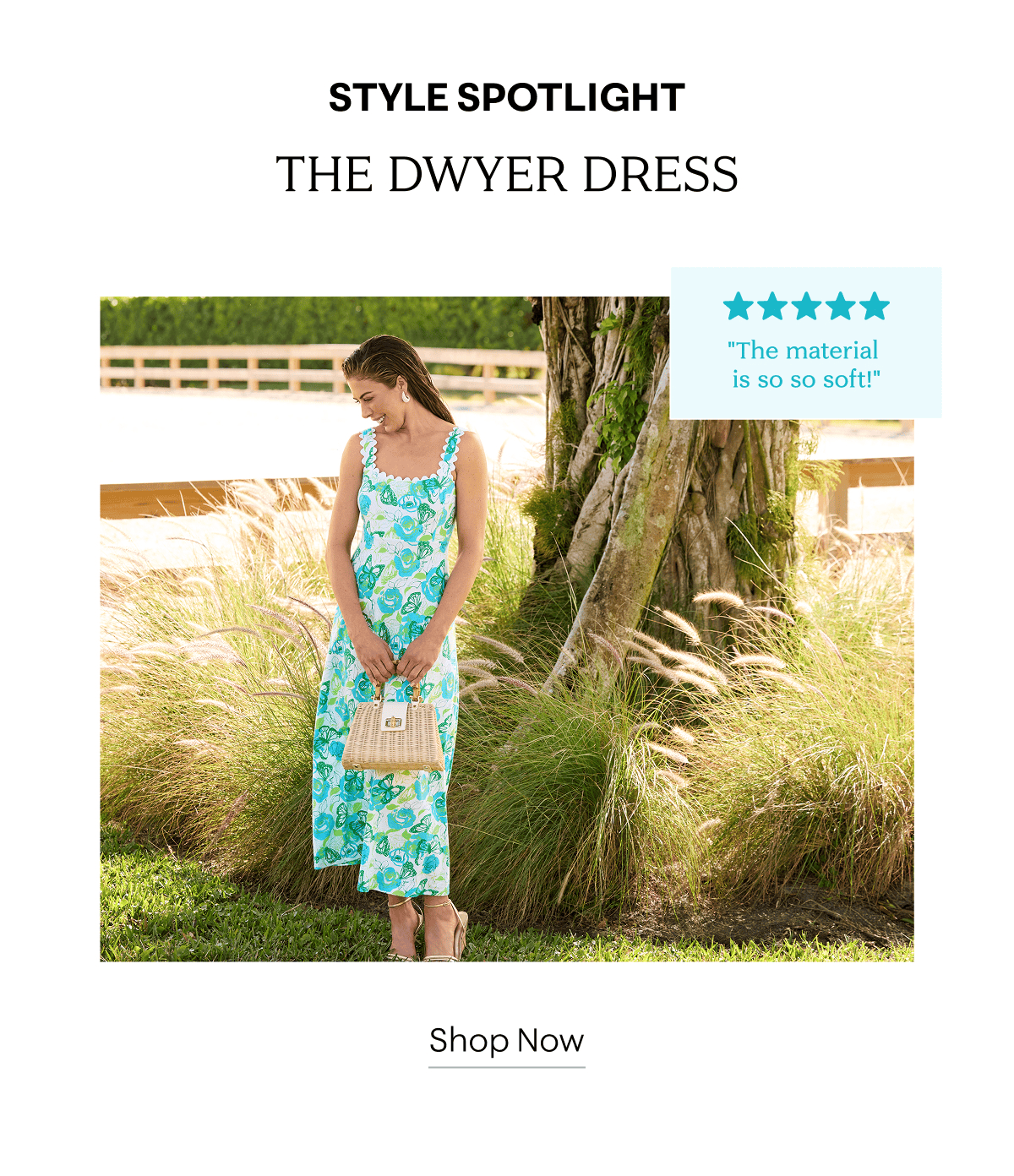 The Dwyer Dress