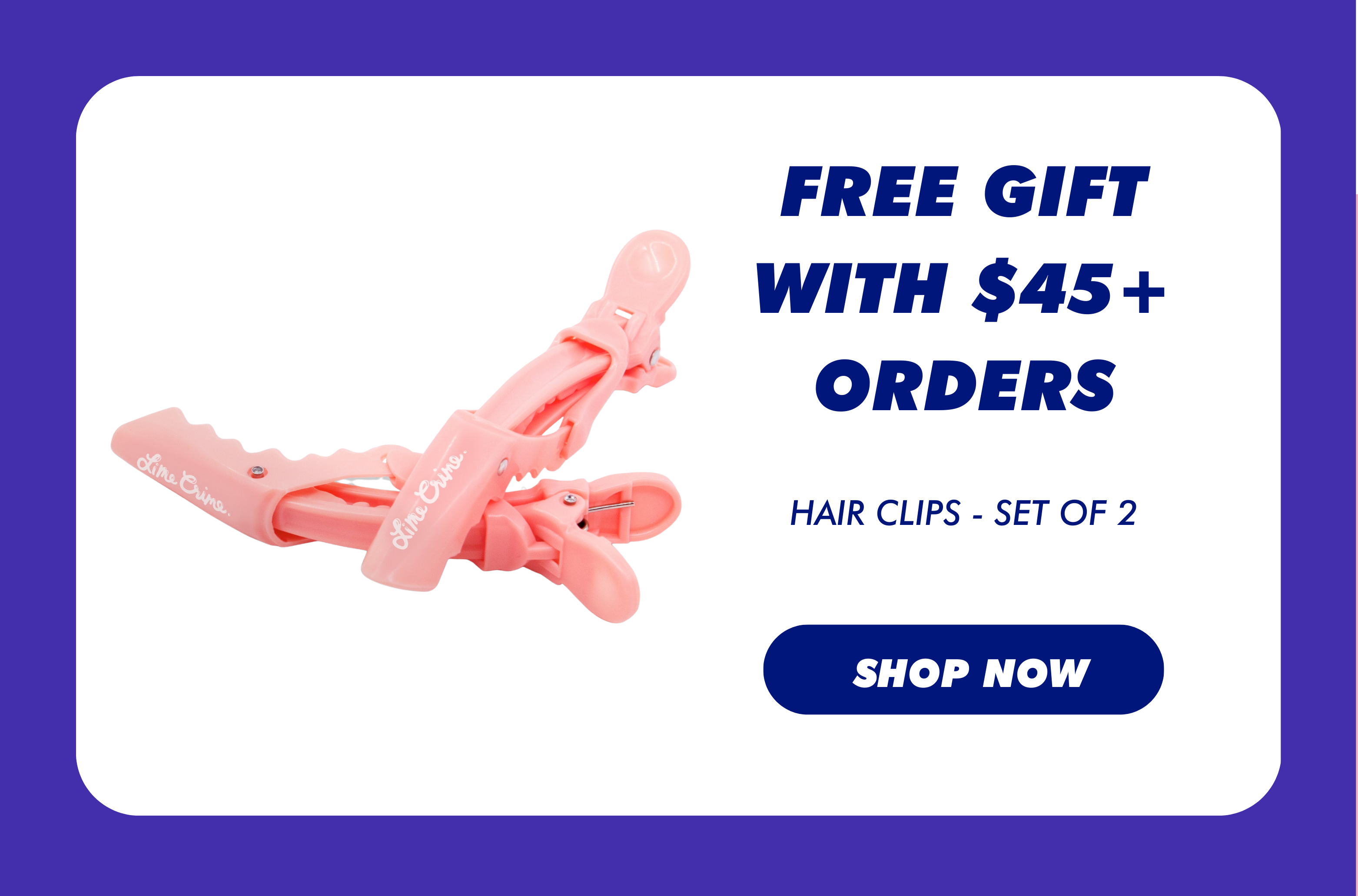 Free Gift with $45+ Orders | Hair Clips - Set of 2 | Shop Now