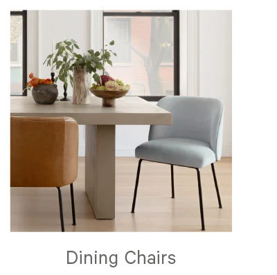 Dining Chairs