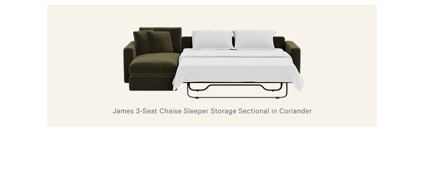 James 3-Seat Chaise Sleeper Storage Sectional
