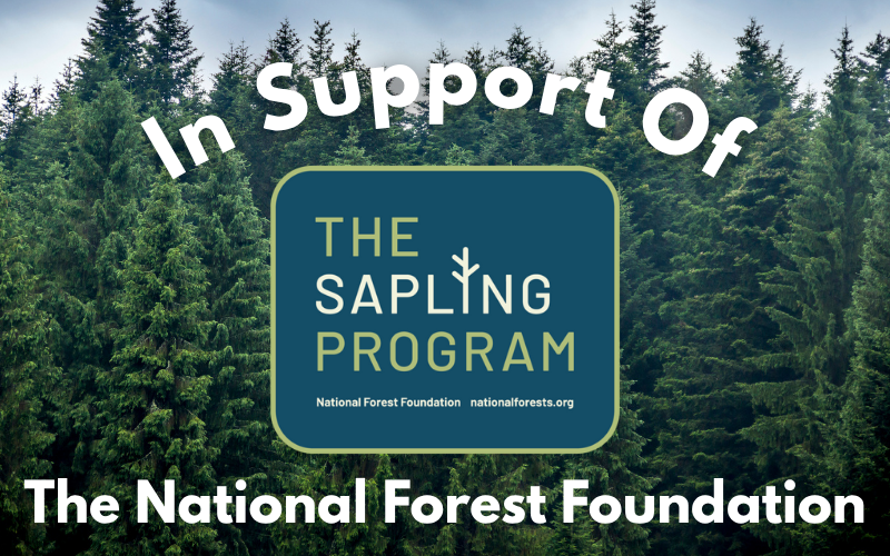 The national forest foundation