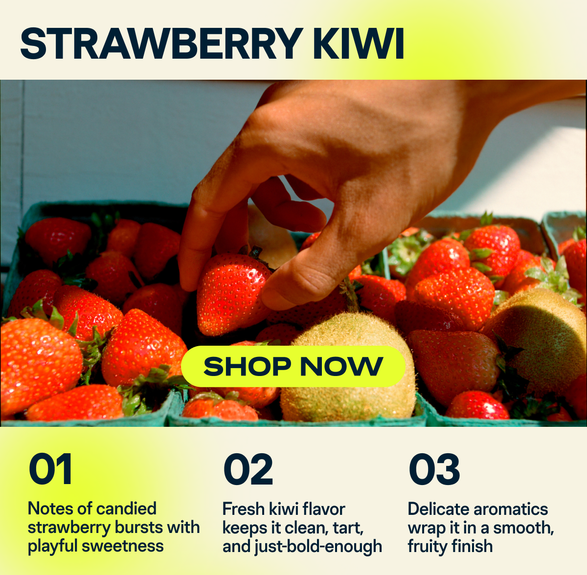 Strawberry Kiwi