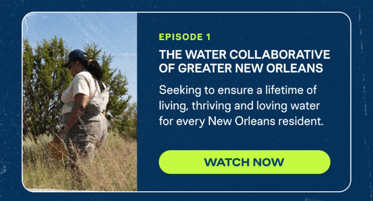 The Water Collaborative of Greater New Orleans