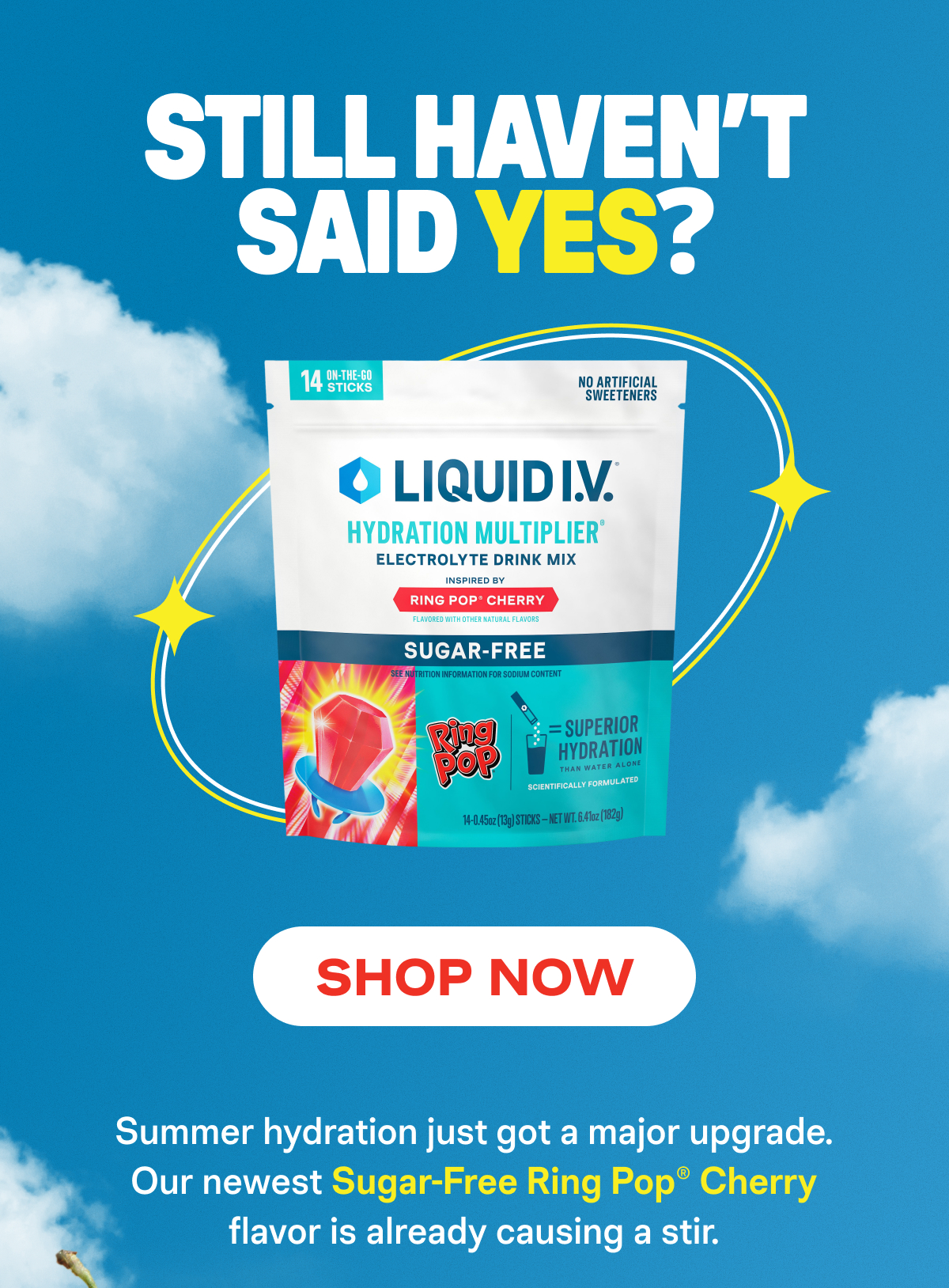 Still Haven't Said Yes?