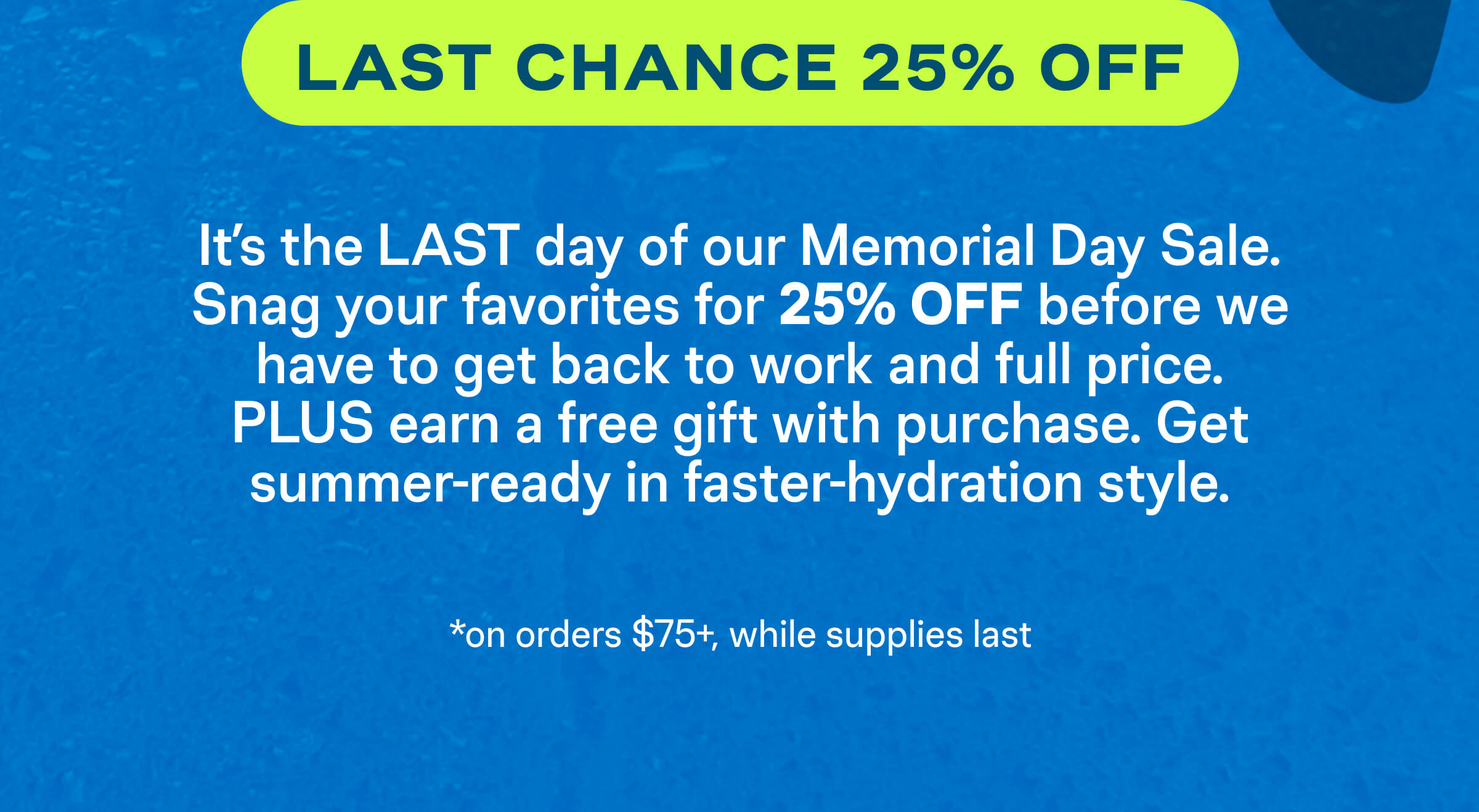 Last Chance 25% Off