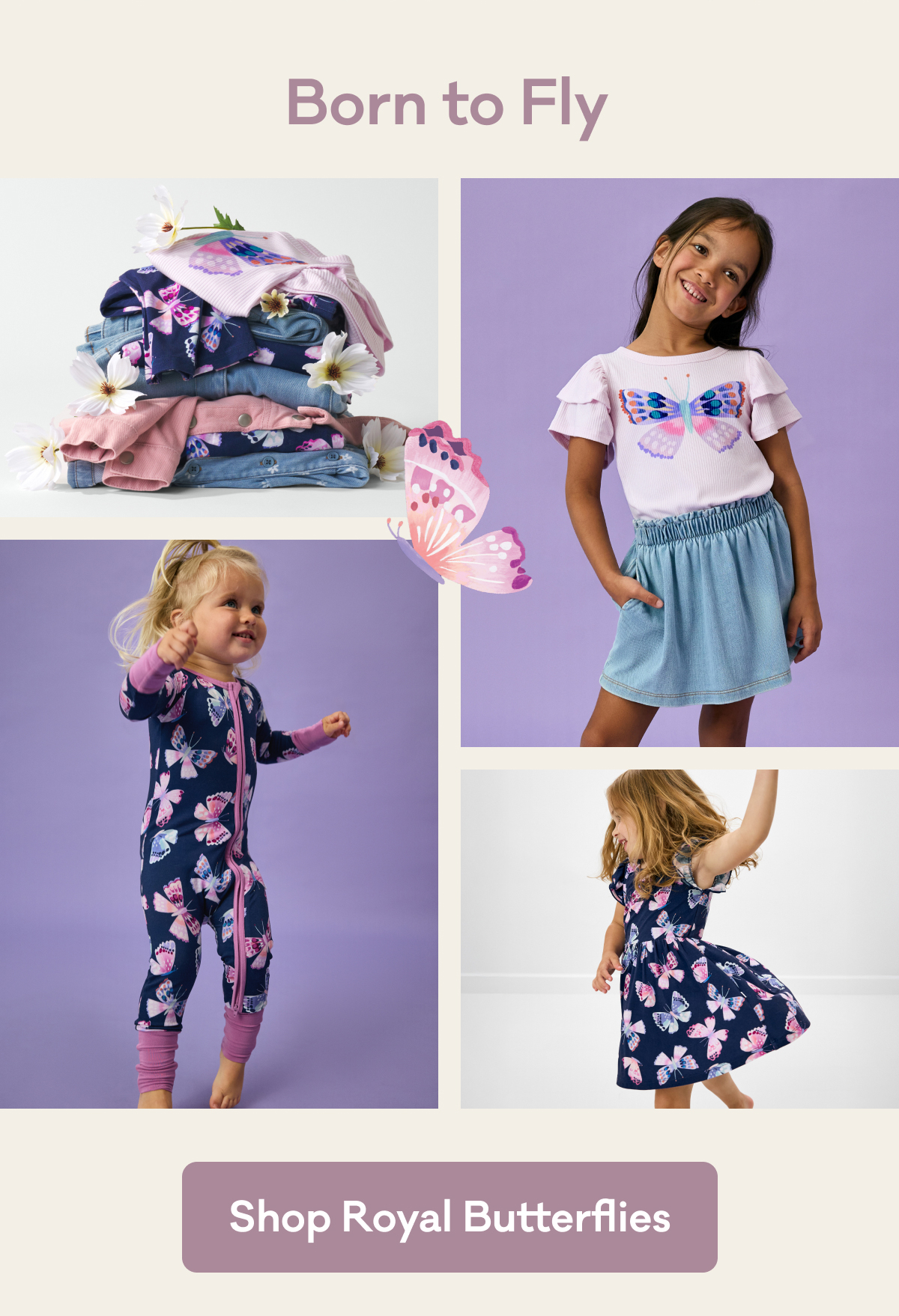 Born to Fly | Shop Royal Butterflies
