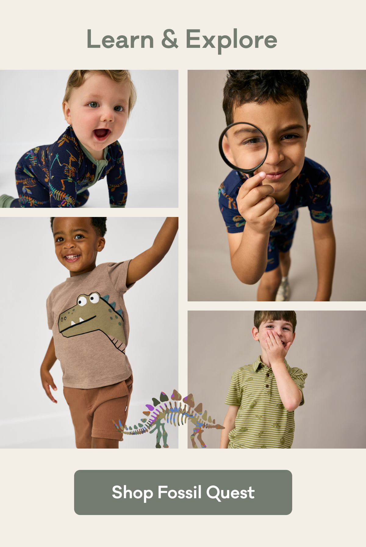 Learn & Explore | Shop Fossil Quest