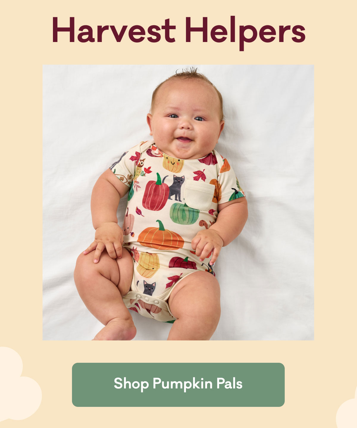 Harvest Helpers | Shop Pumpkin Pals