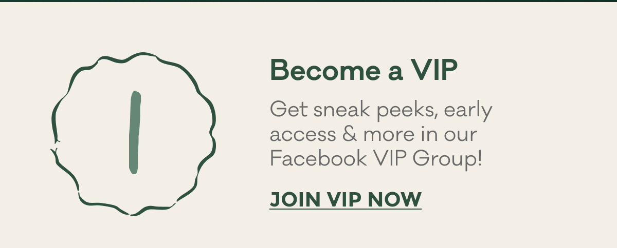 Become a VIP | Get sneak peeks, early access & more in our Facebook VIP Group! | JOIN VIP NOW