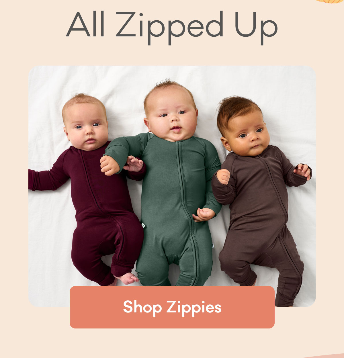 All Zipped Up | Shop Zippies