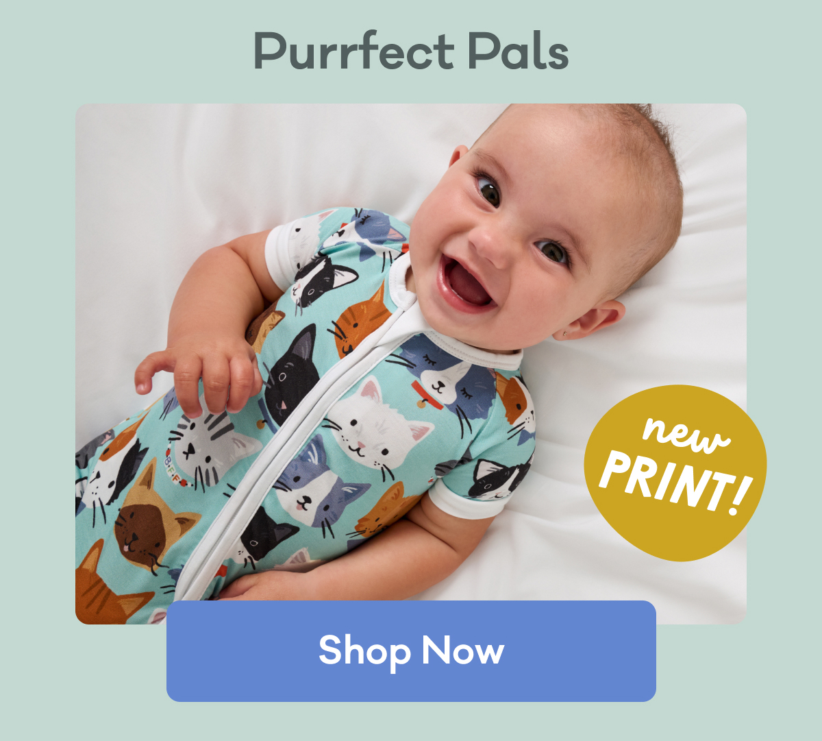 Purrfect Pals | New Print! | Shop Now