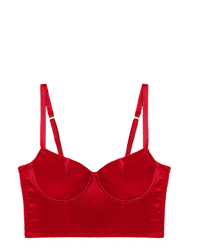 Iris Underwire Crop Bustier