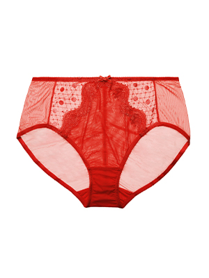 Vedette High Waist Brief