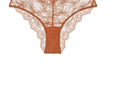 Anais High Waist Brief
