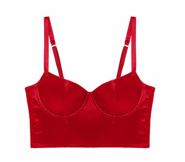 Iris Bustier