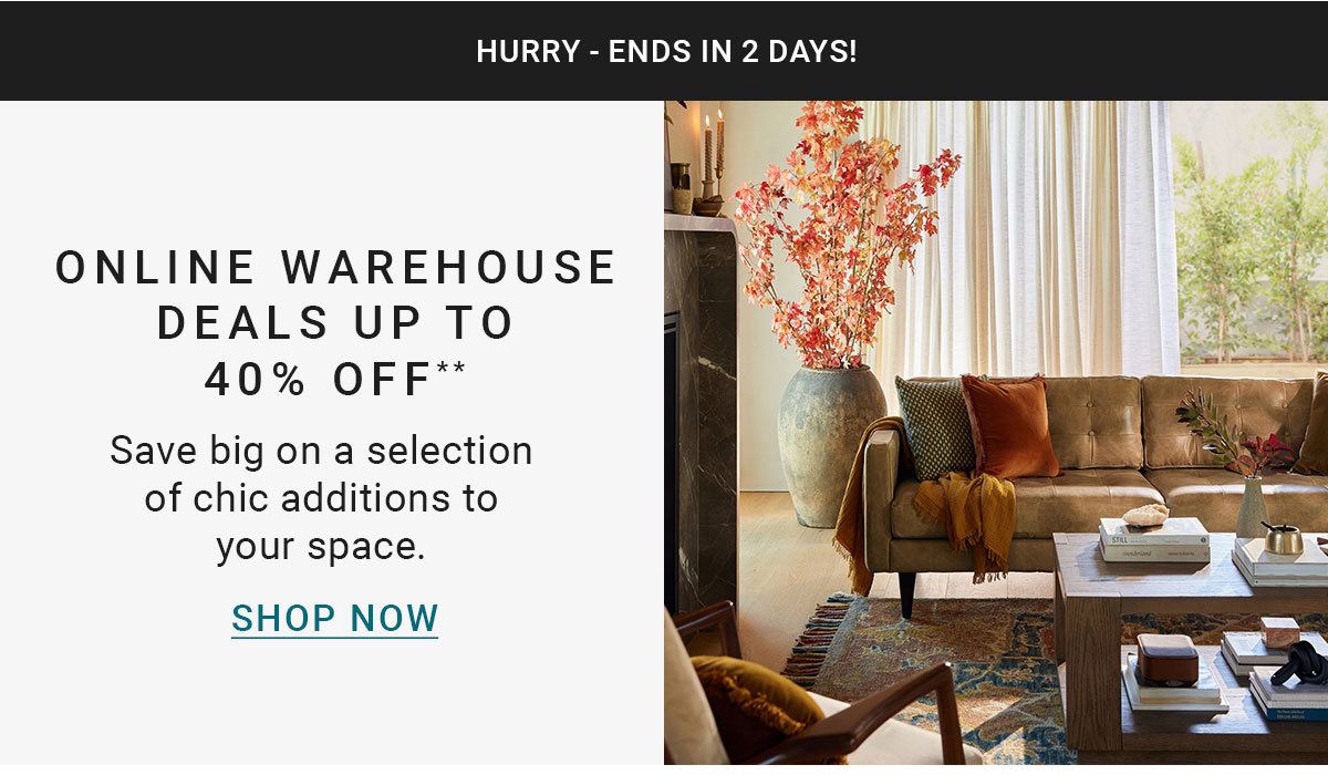 HURRY - ENDS IN 2 DAYS! ONLINE WAREHOUSE DEALS UP TO 40% OFF** Save big on a selection of chic additions to your space. SHOP NOW