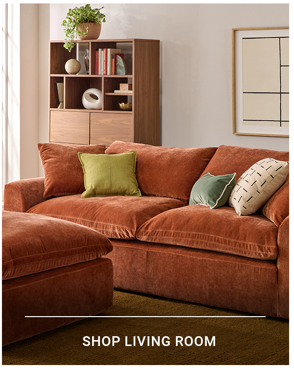 SHOP LIVING ROOM