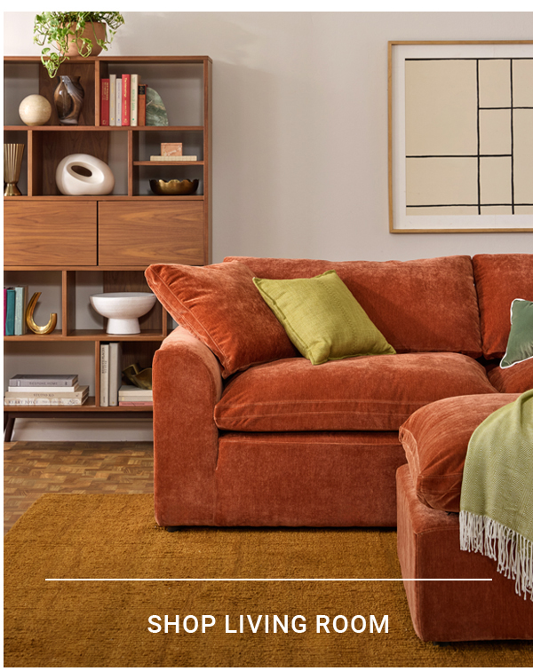 SHOP LIVING ROOM