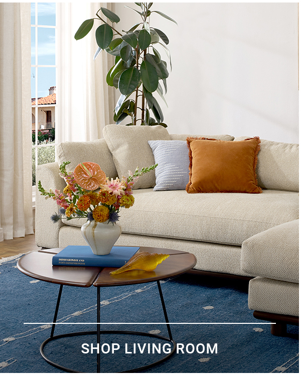 SHOP LIVING ROOM