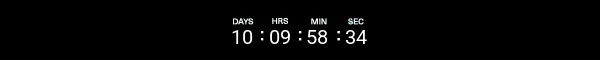 Timer