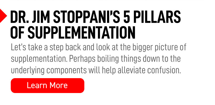 The 5 Pillars of Supplementation