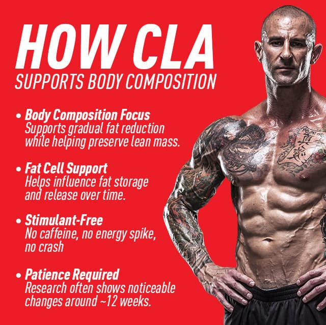How CLA supports body composition