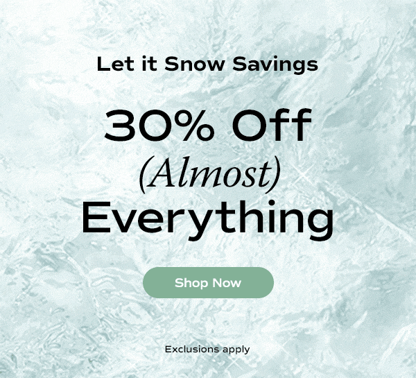 An animated banner with the look of ice and blowing wind says Let it Snow Savings: 30% Off (Almost) Everything. Exclusions apply. Shop Now.