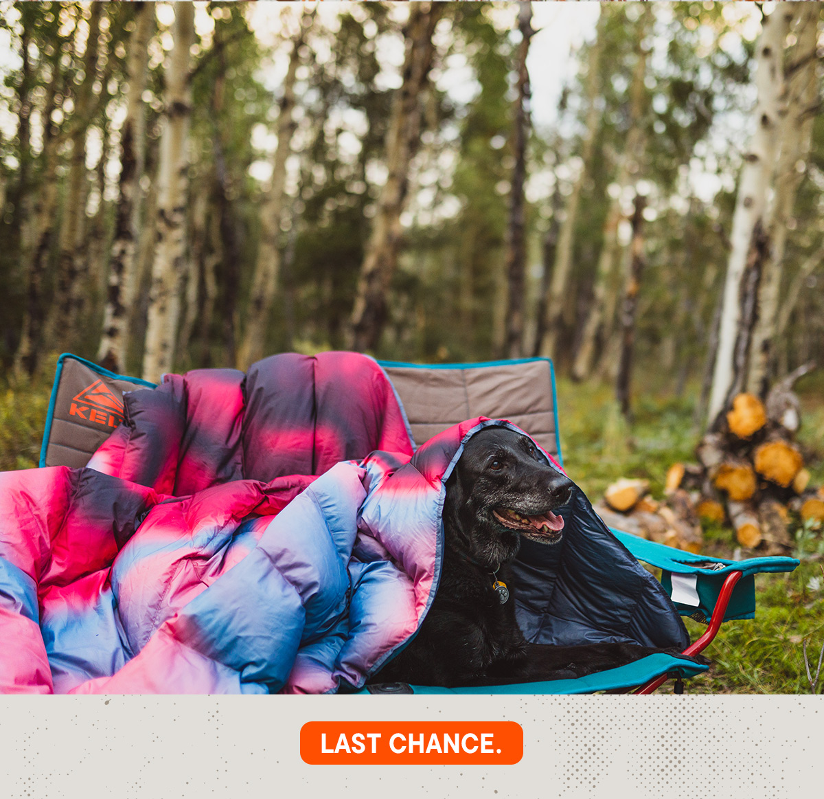Last Chance