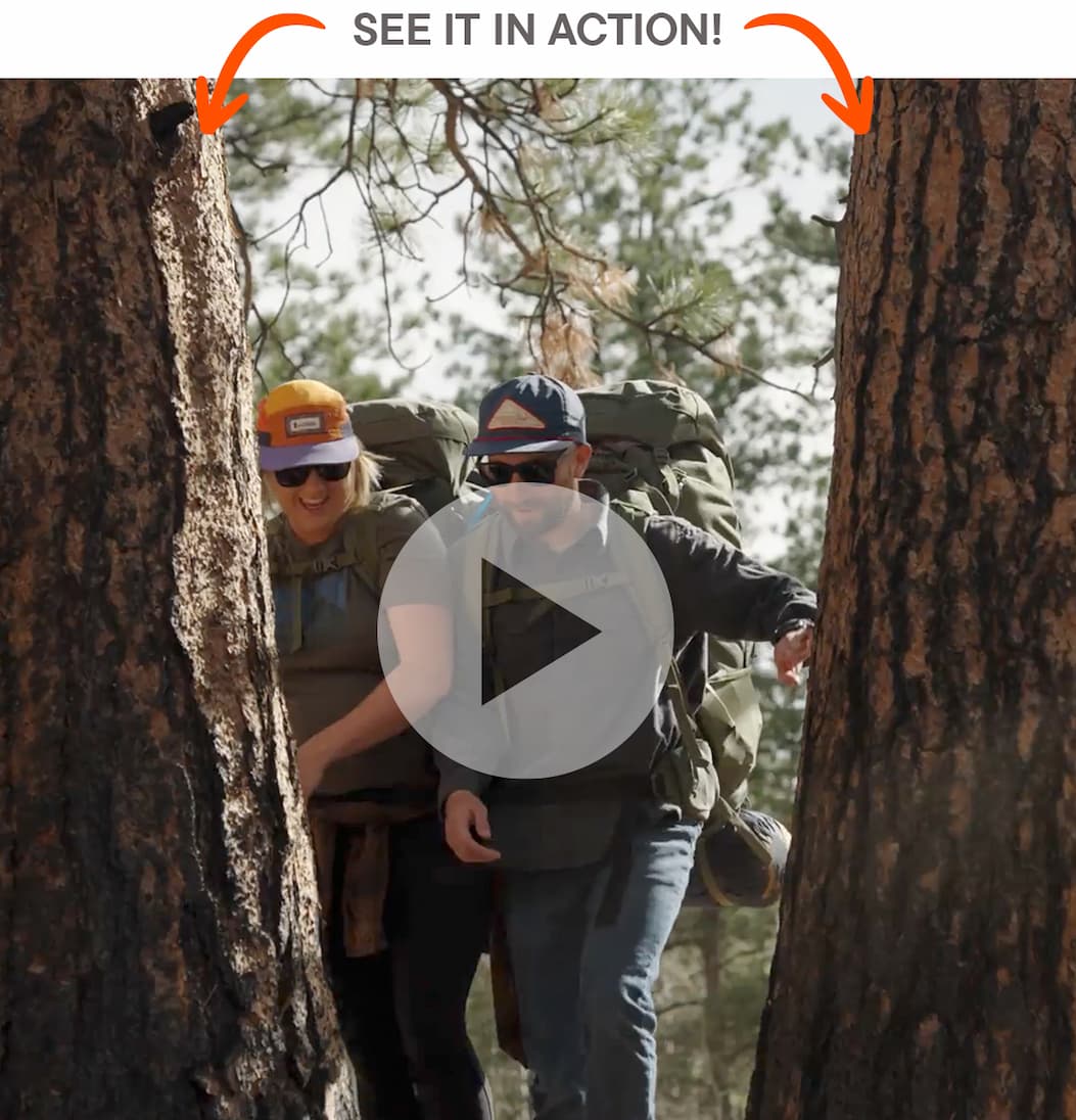 Image link to video YouTube