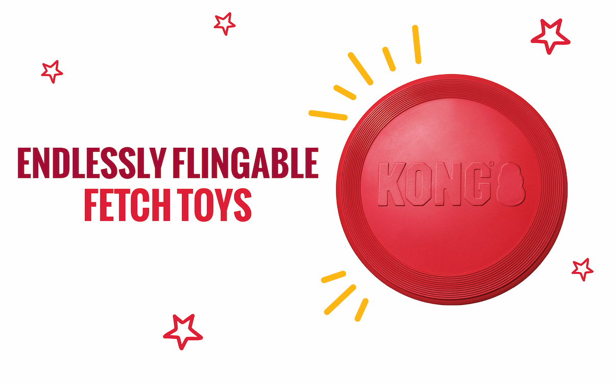 Endlessly flingable fetch toys: Image of red KONG Flyer