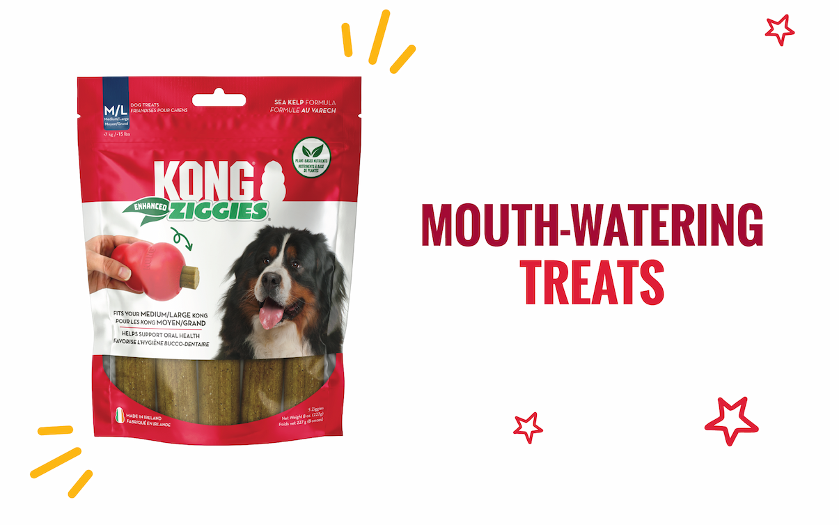 Mouth-watering treats: Image of KONG Ziggies bag