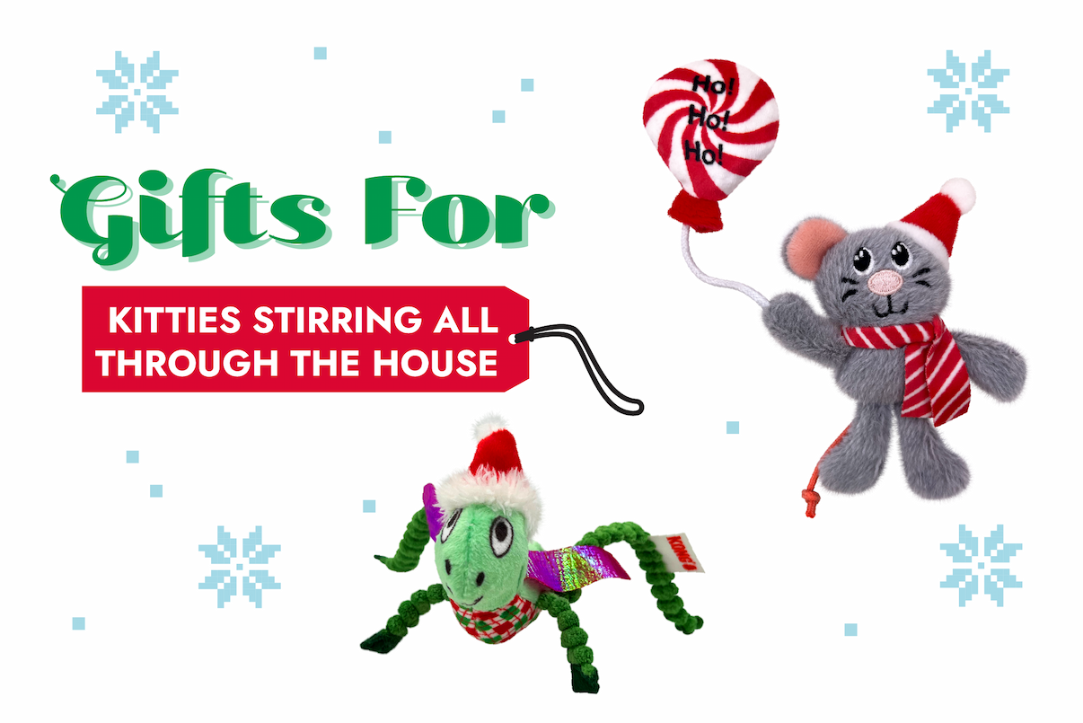 Gifts for kitties stirring all through the house