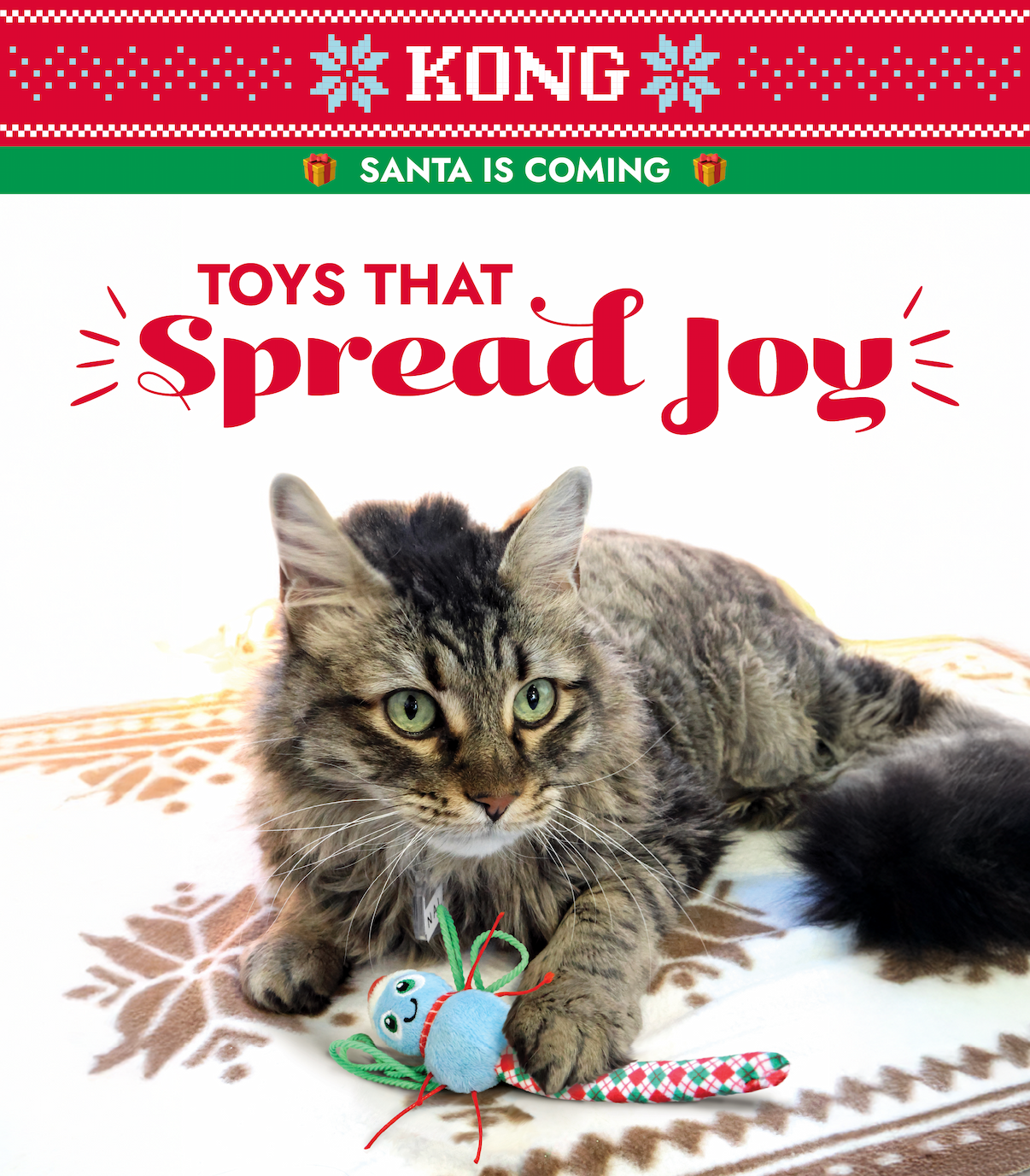 KONG logo with "Santa is coming and toys that spread joy". Image of cat playing with holiday KONG toy.