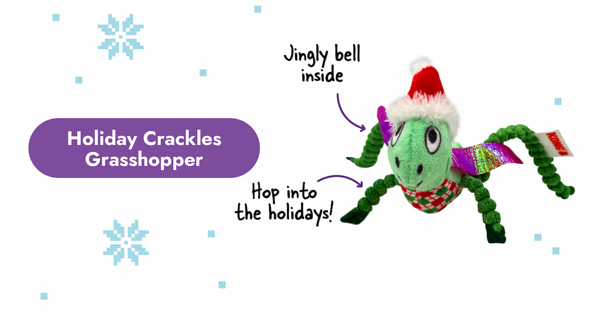 Image of the Holiday Crackles Grasshopper toy with arrows pointing to it that say "jingly bell inside and hop into the holidays!"